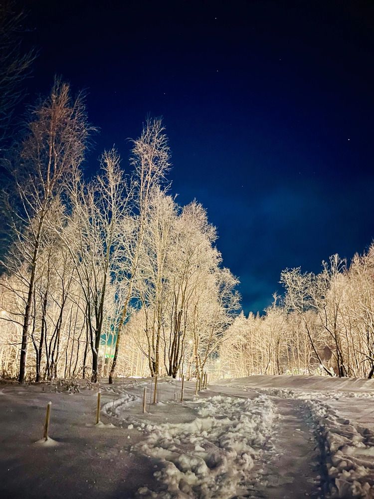 Photograph by Ольга Желтова