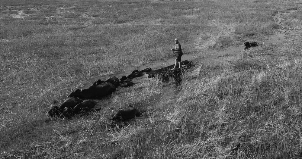 Photograph by Celio Alves Ribeiro