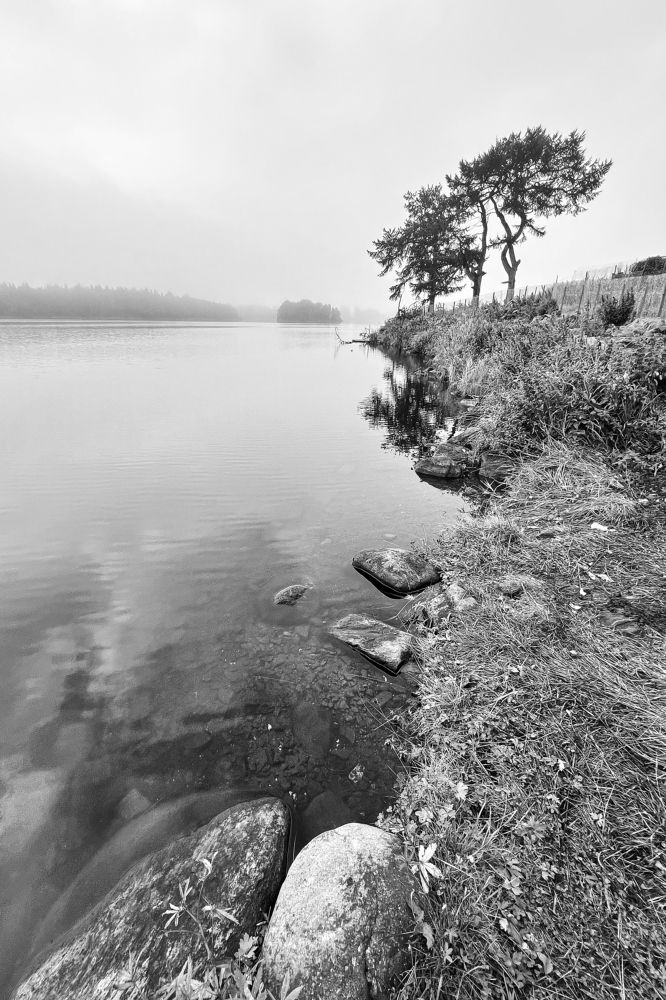 Фотография автора Александр Антонов