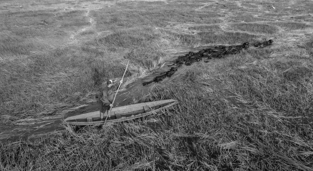 Photograph by Celio Alves Ribeiro