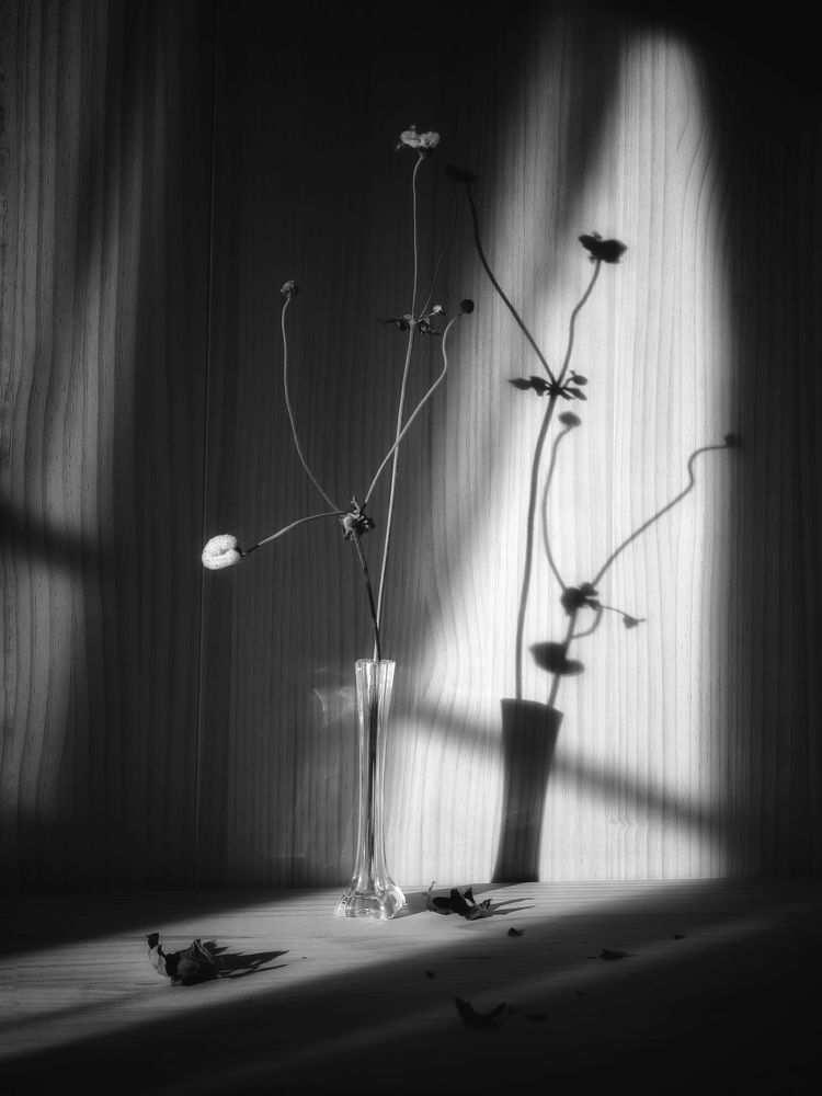 Фотография автора Наталия