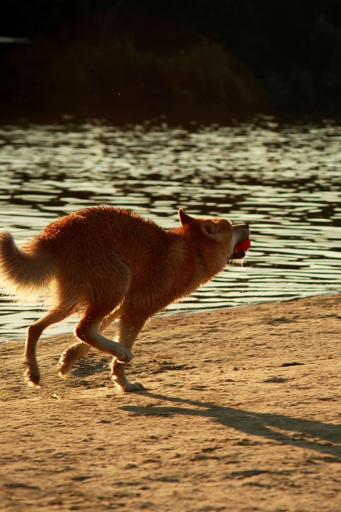 Photograph by Нелли