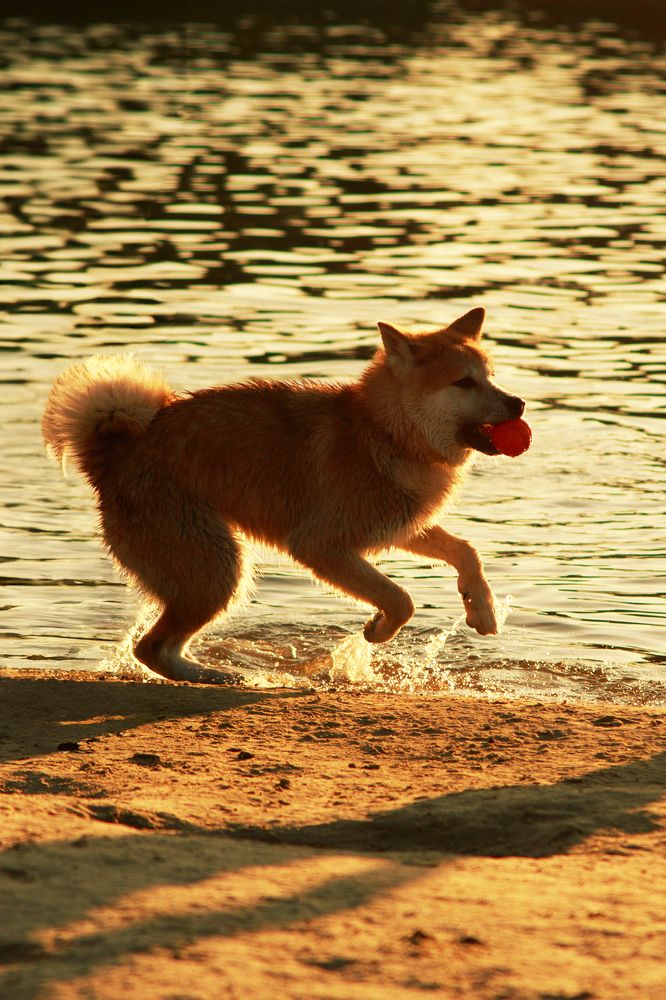 Photograph by Нелли