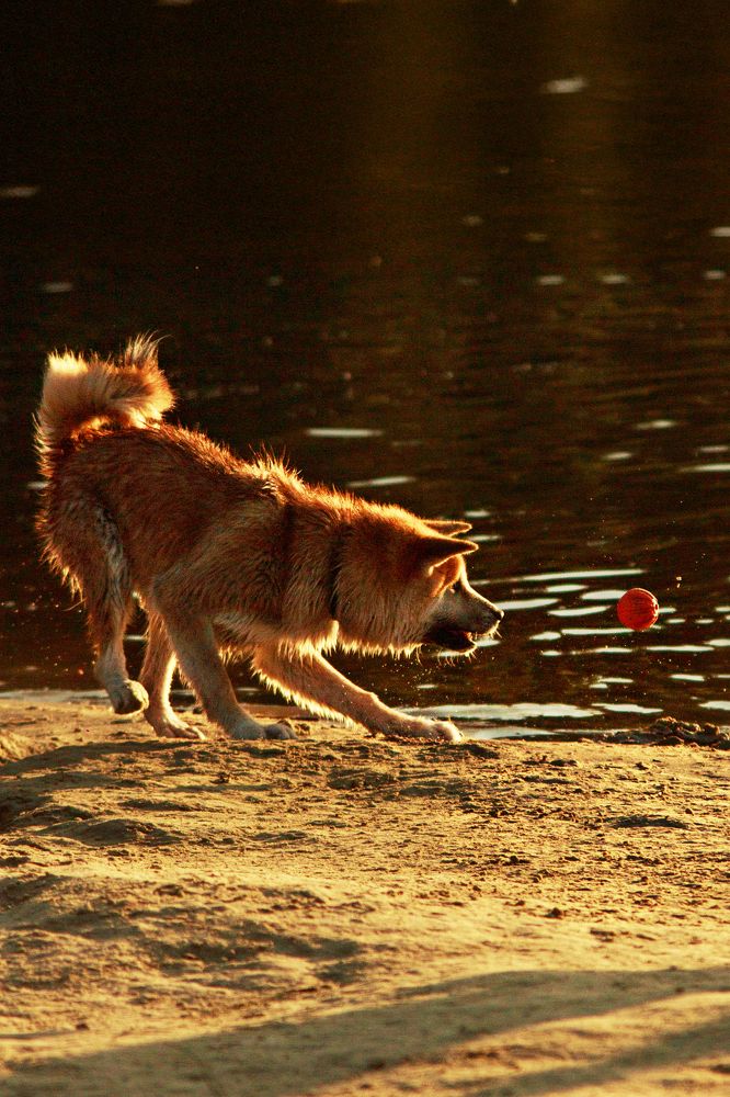 Photograph by Нелли