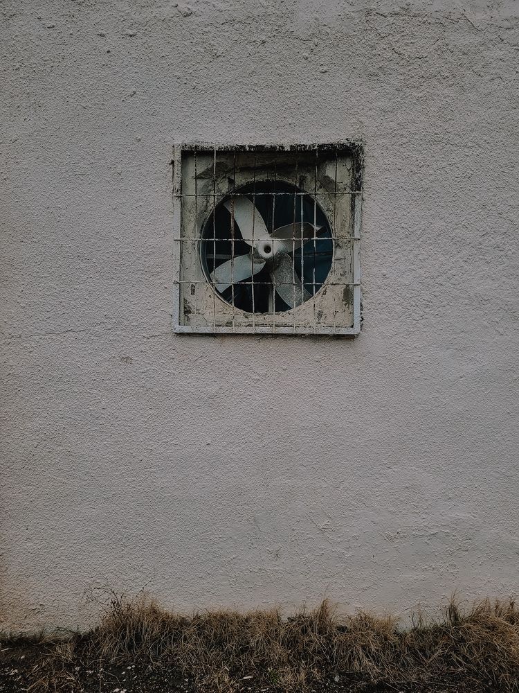 Photograph by Виктория Фирсова