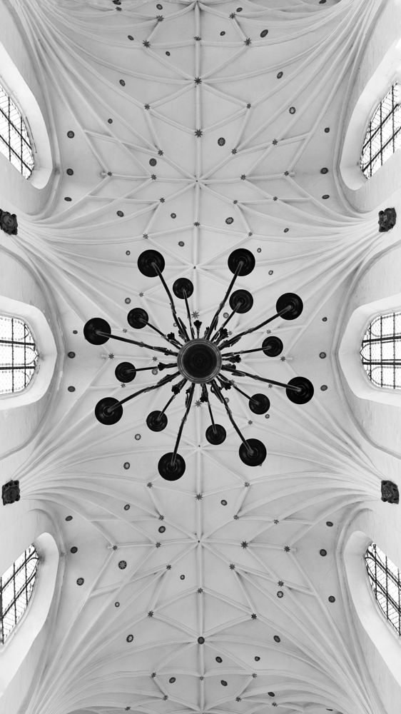 Фотография автора Svetlana Siniakova