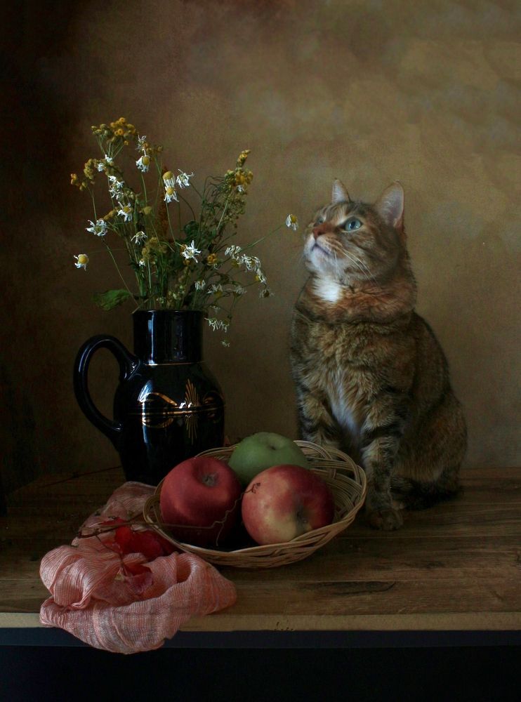 Photograph by Кира Иванова