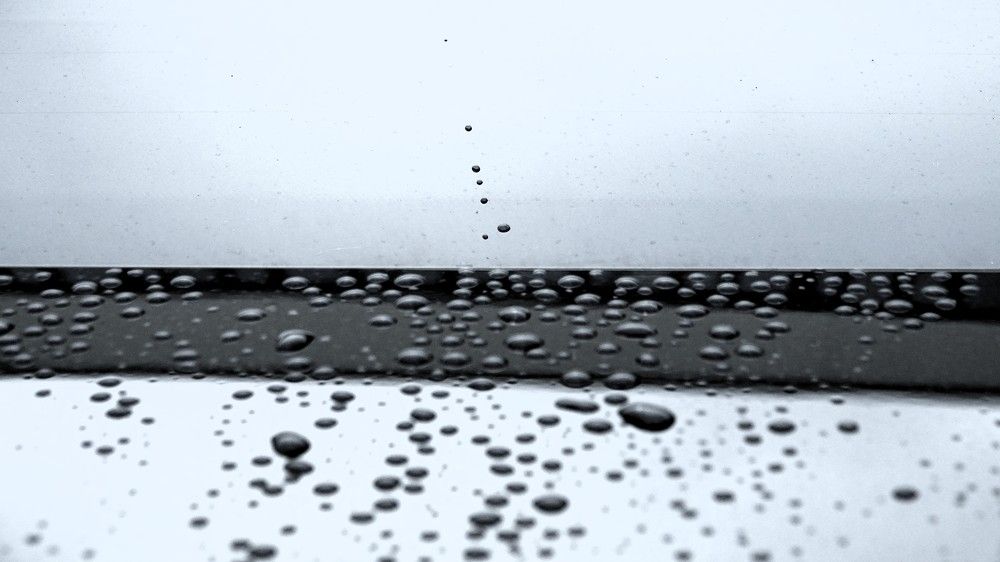 Photograph by jelena konickaja