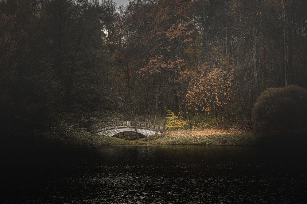 Фотография автора Анастасия Ларина