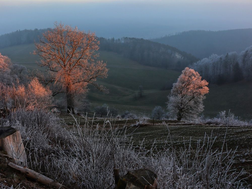 Photograph by Irina Lack
