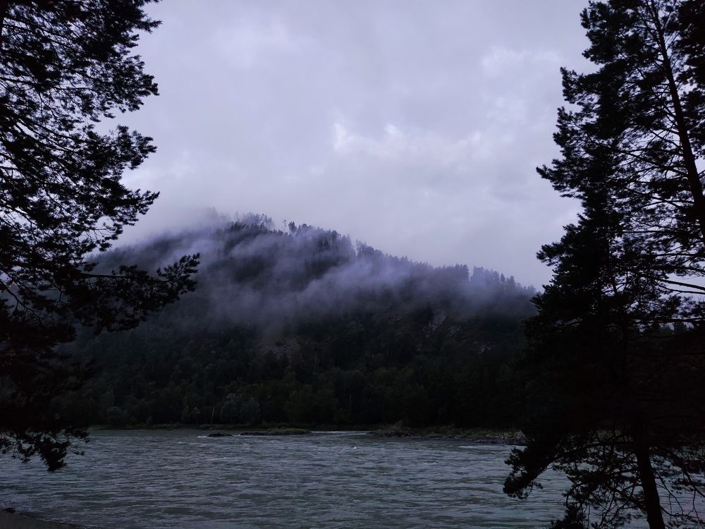 Photo #11712072
