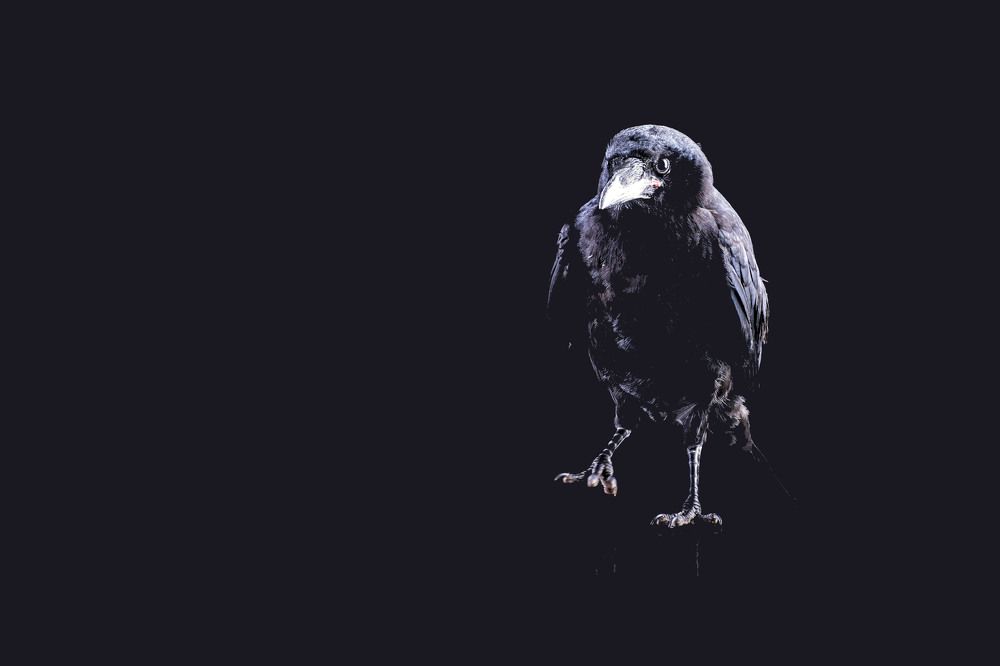 Photograph by LJiljana