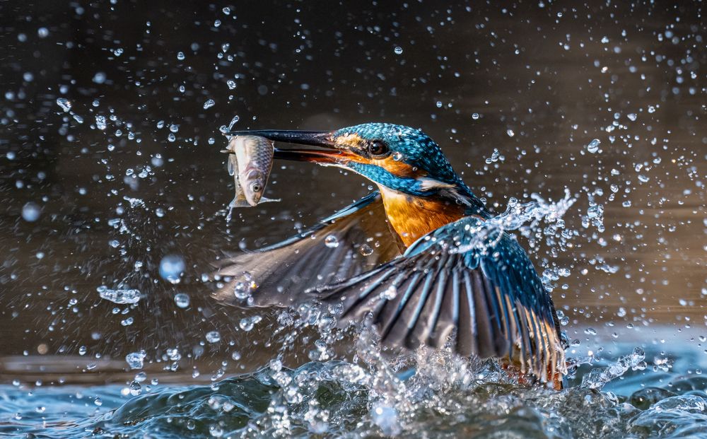 Photograph by Tímea Ambrus