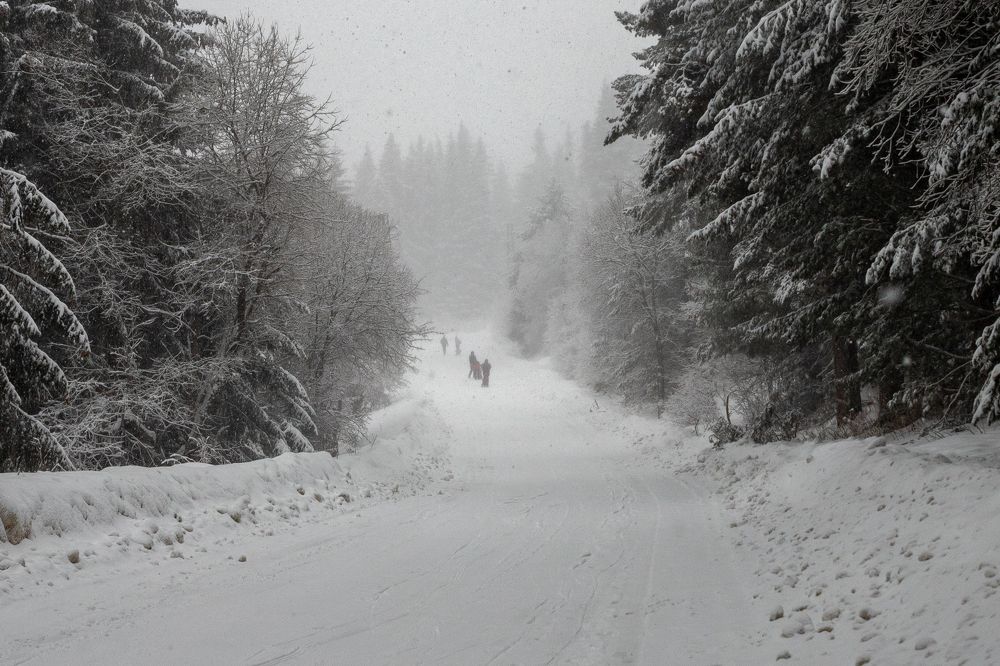 Photograph by Gitin Leonid