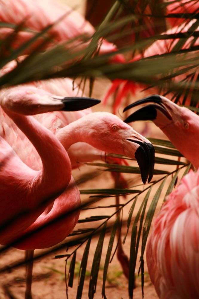 Photograph by Adrielly Mendes Abade