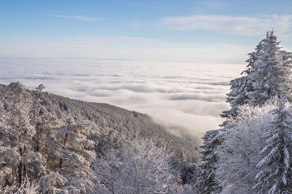 Photograph by Gitin Leonid