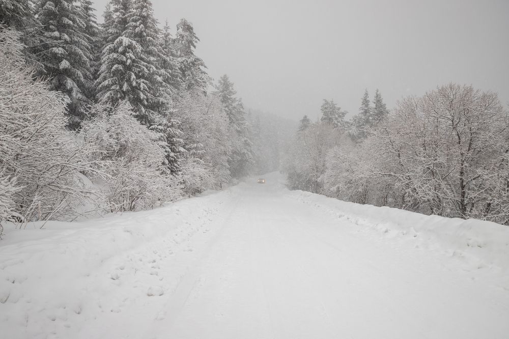 Photograph by Gitin Leonid