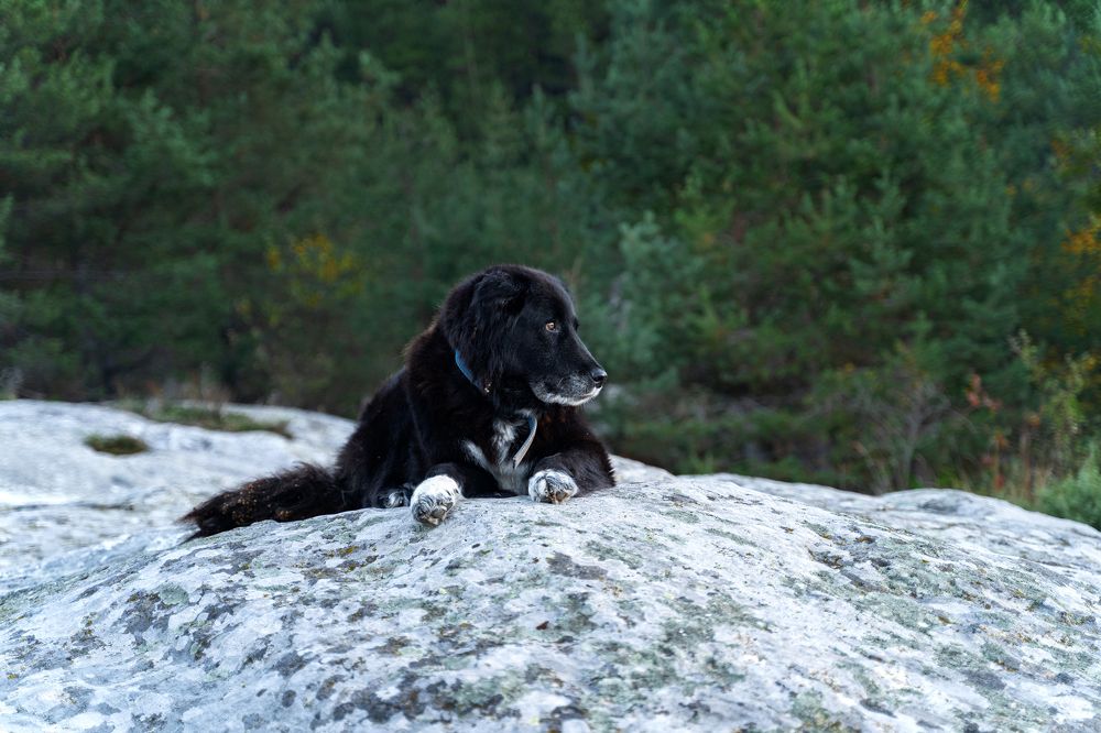 Photograph by Ivanka Iantcheva