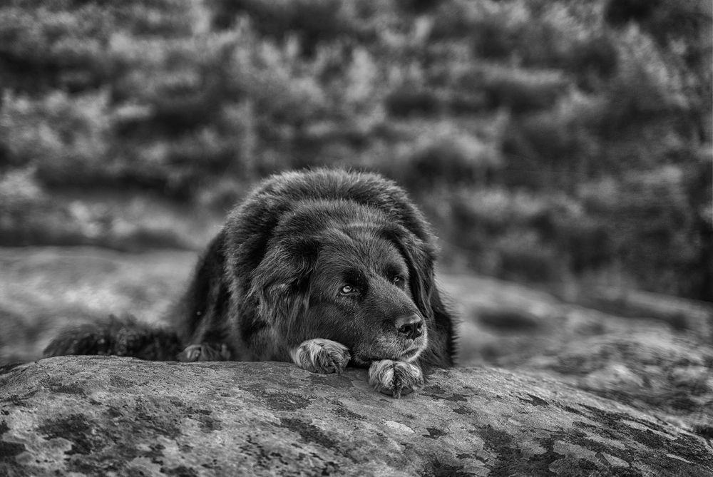 Photograph by Ivanka Iantcheva