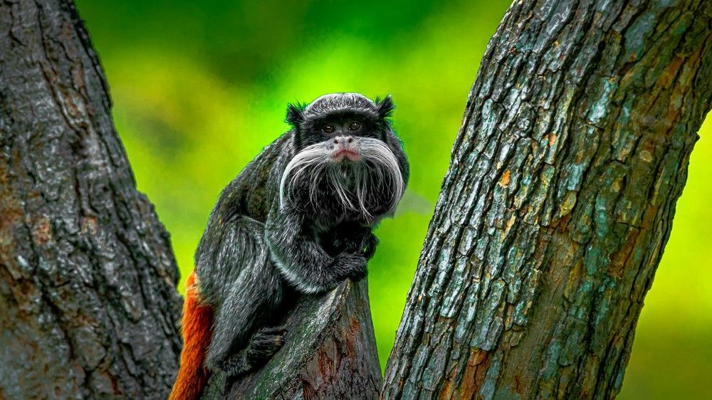 Photograph by Thomas Dunston