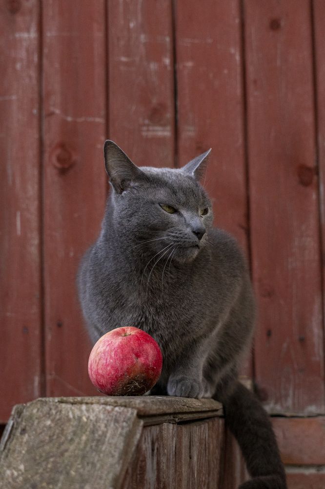 Photograph by Anton Gavrilov