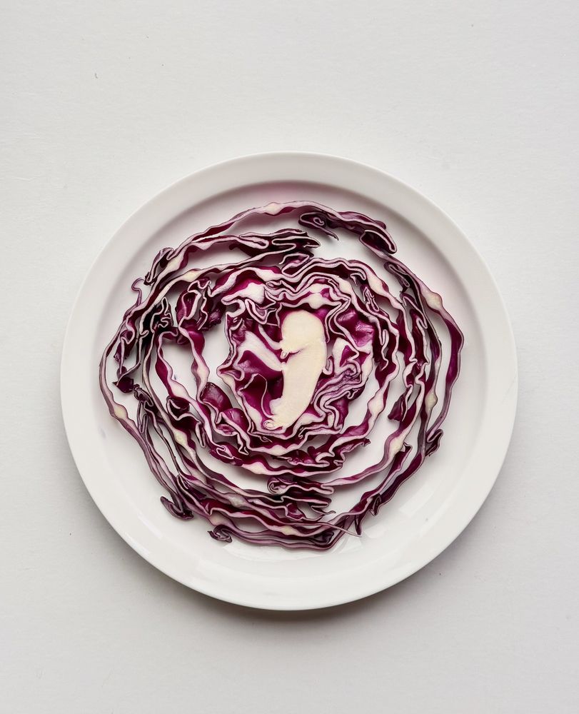 Photograph by Maria Volnova