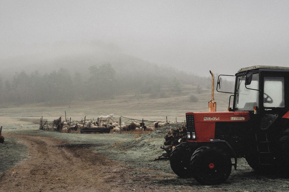 Фотография автора Oleg Suhenko