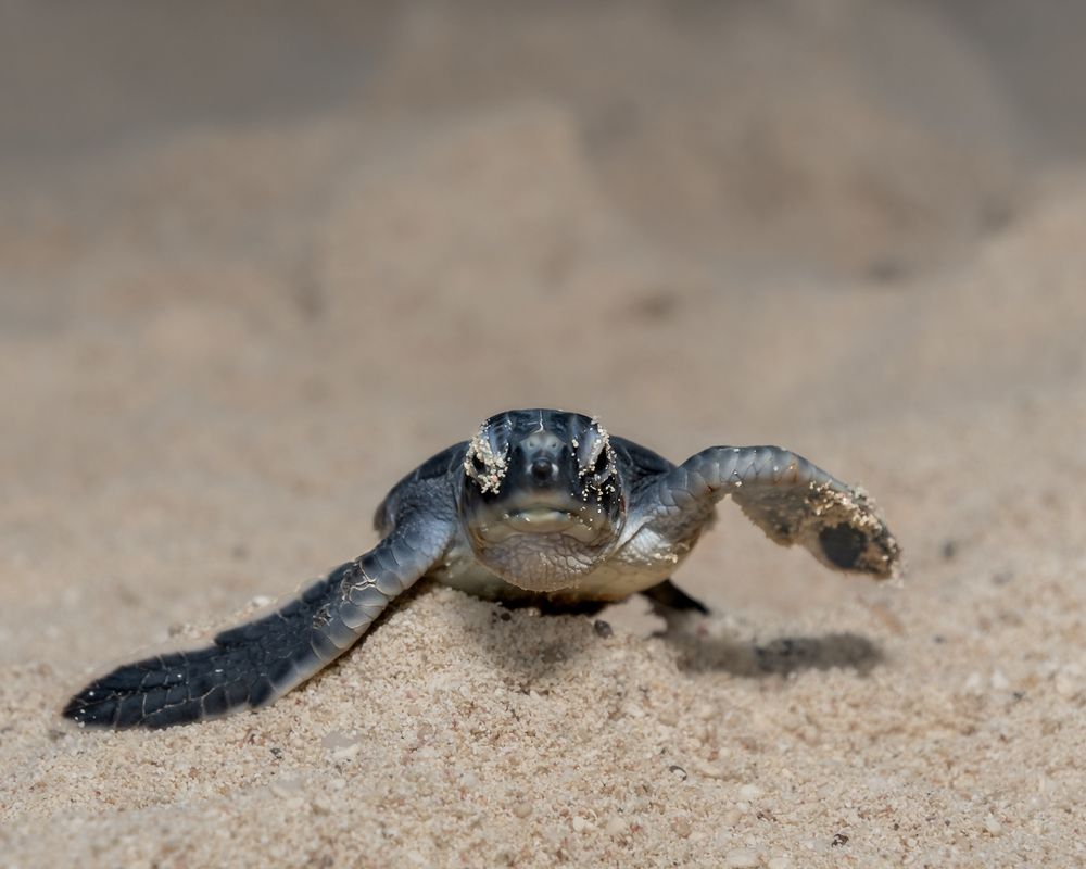 Photograph by Erick Nava Doctor