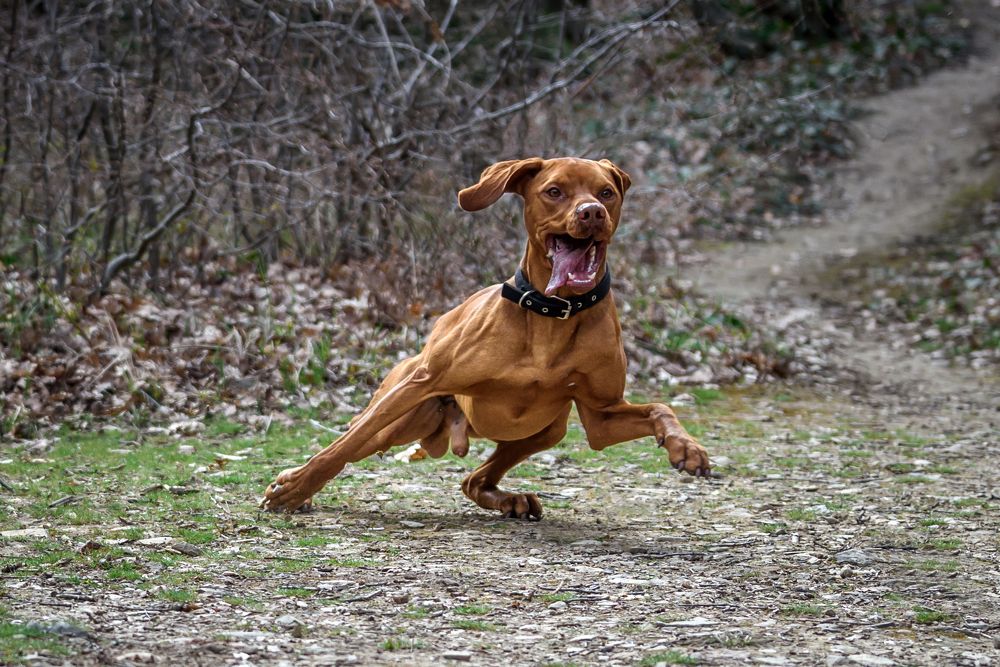 Photograph by Валерий