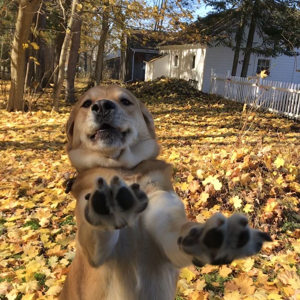 Whoa! Wait a Minute!