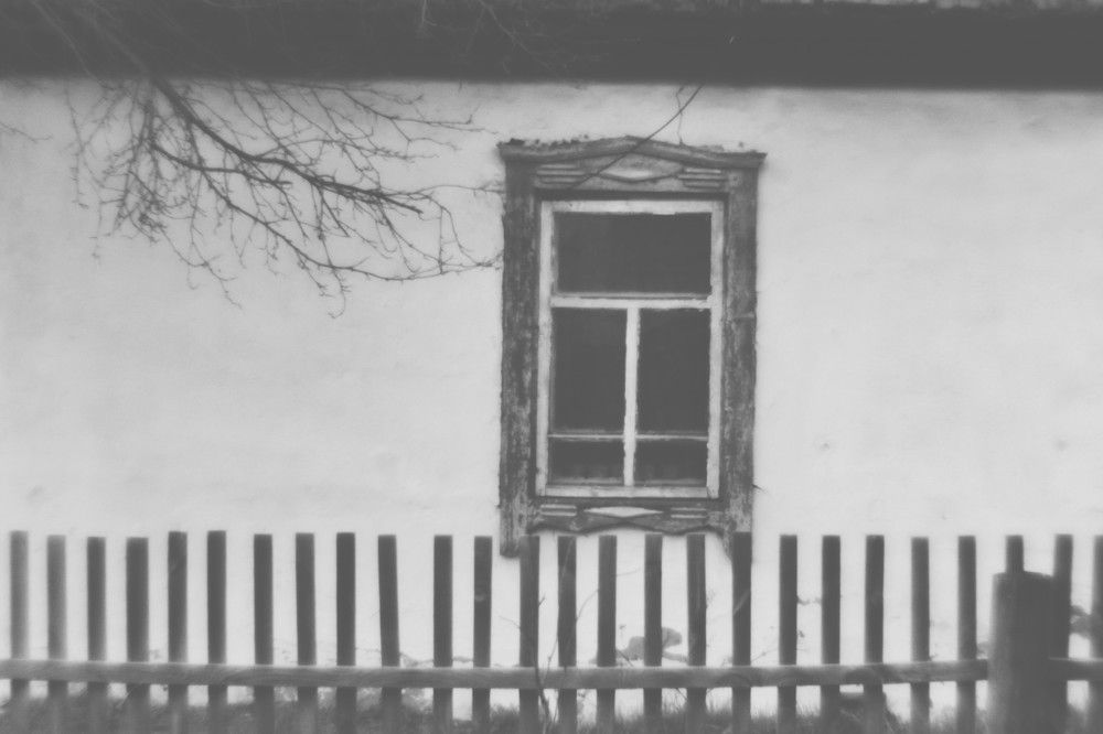 Photograph by Елена Колесник