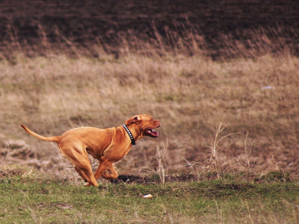 Photograph by Дмитрий Лобанов