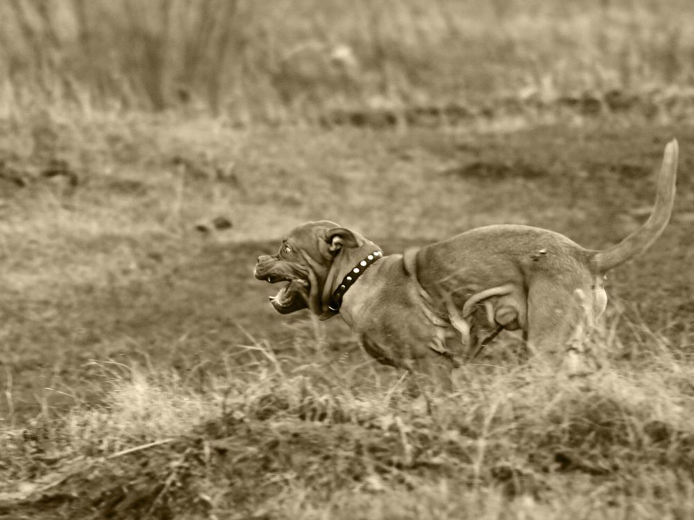 Photograph by Дмитрий Лобанов