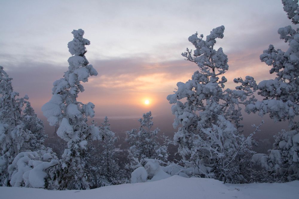 Photograph by Олег Бережных