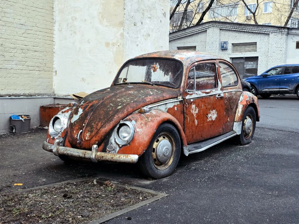 Фотография автора Vau Fox