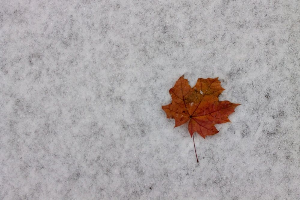 Photograph by Алёна Кибичеева