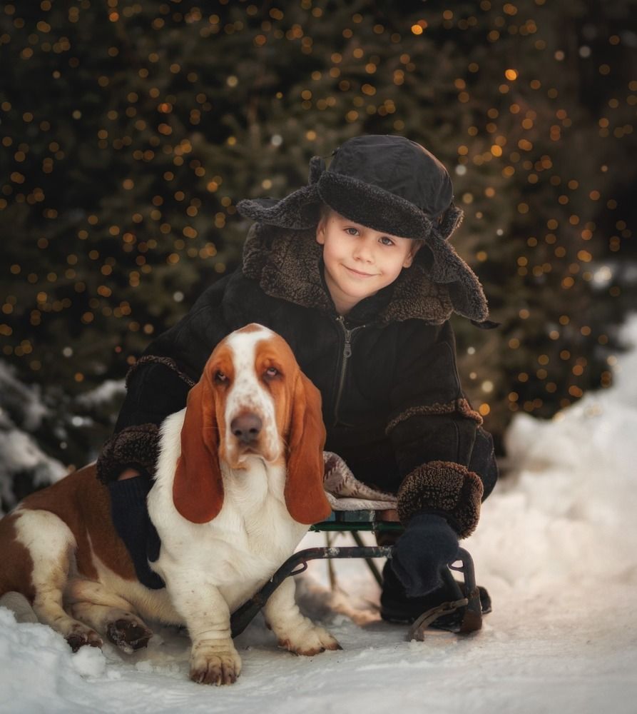 Photograph by Карина Сагитова