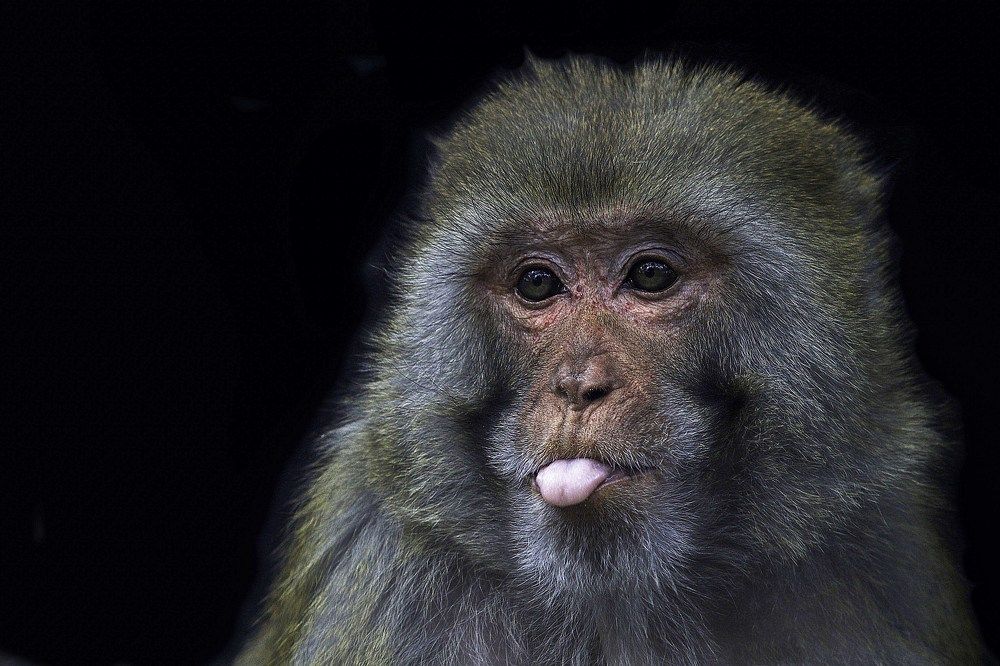 Photograph by ALI Pashang