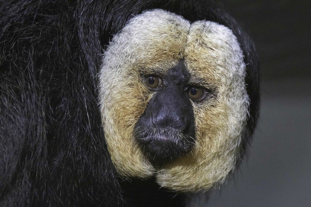 Photograph by ALI Pashang