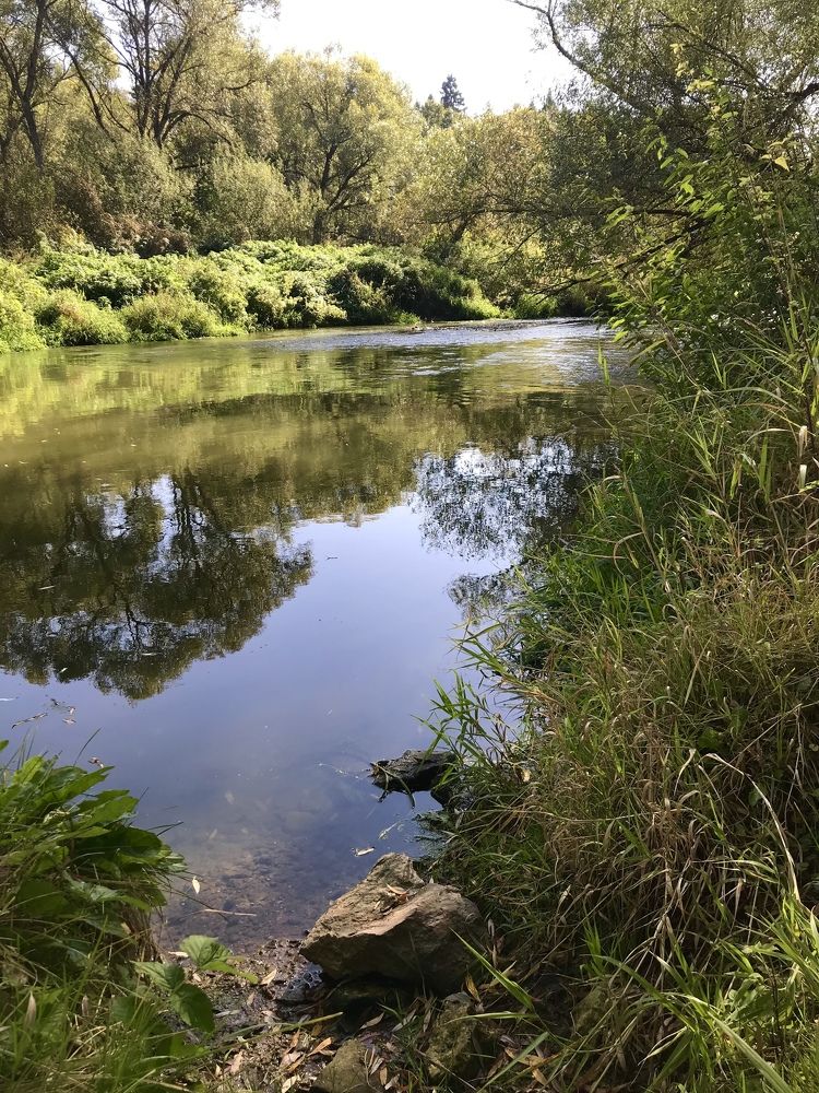 Photograph by Надежда Ткаченко