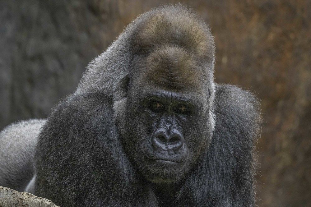 Photograph by ALI Pashang