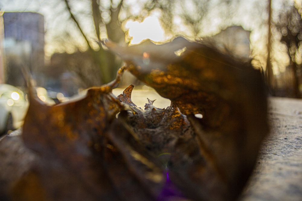 Photograph by Владимир Матушкин