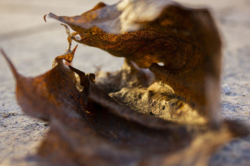 Photograph by Владимир Матушкин