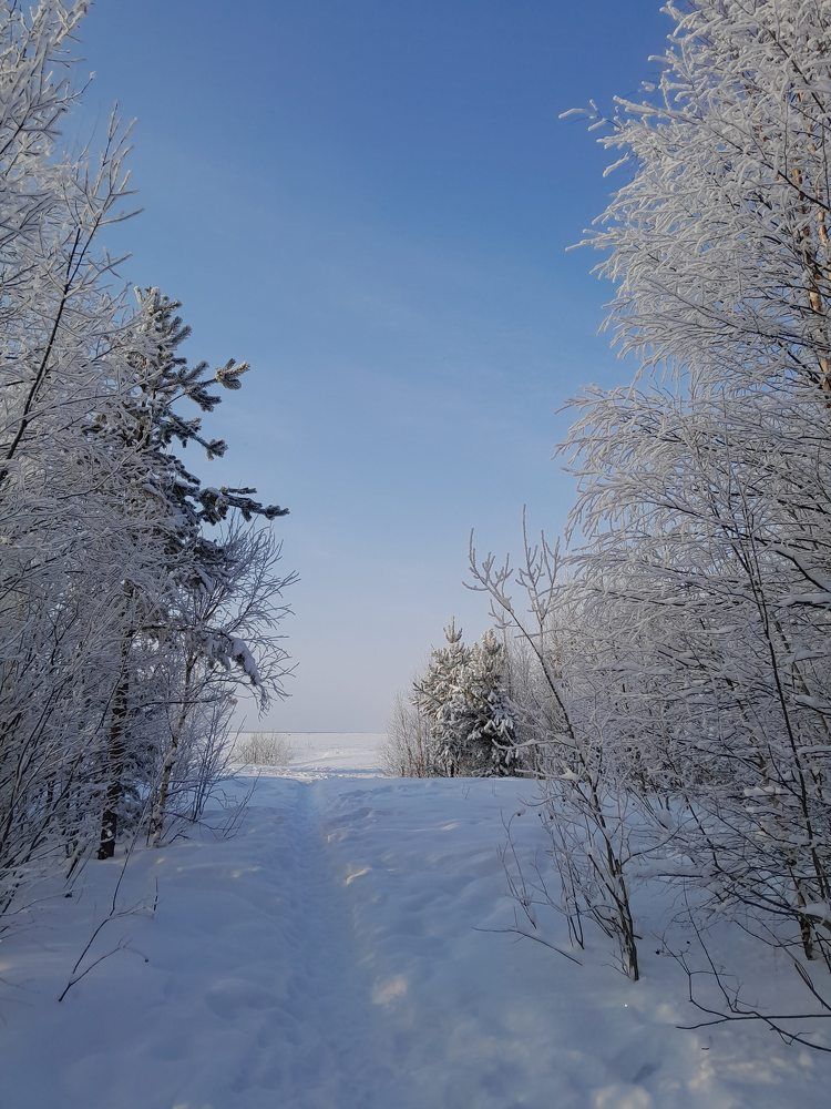 Photograph by Виталий Глазачев