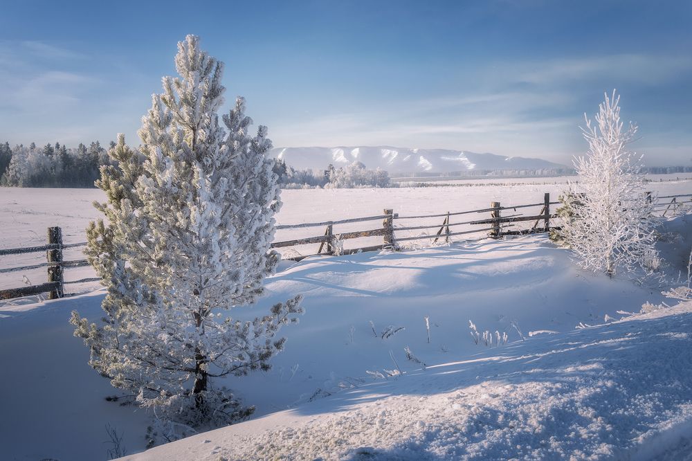 В пелене снегов