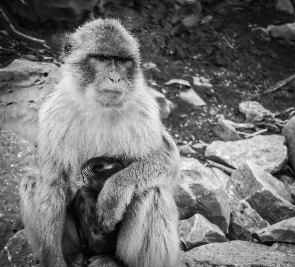 Photograph by Андрей Безгин