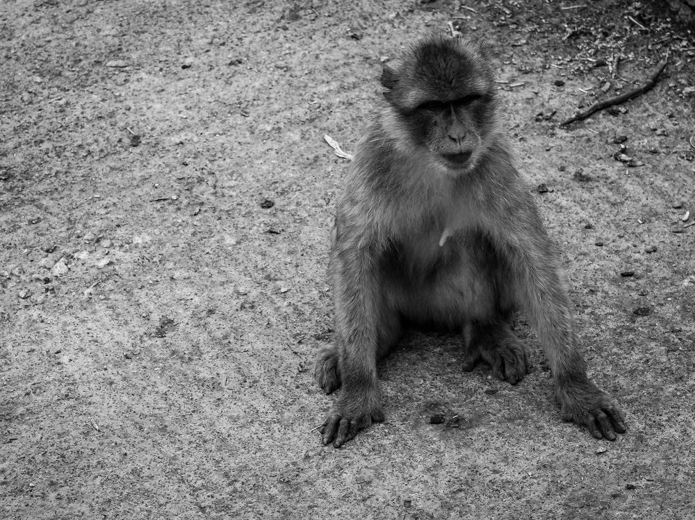 Photograph by Андрей Безгин