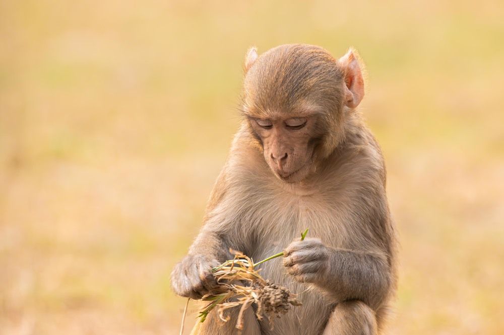 Photograph by Alexei Kriptozoy