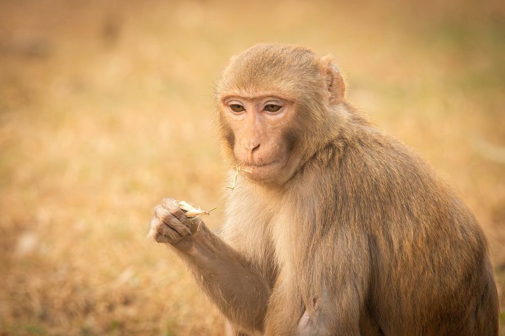 Photograph by Alexei Kriptozoy