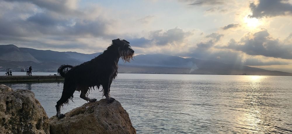 Photograph by Светлана Светлова